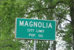 Magnolia